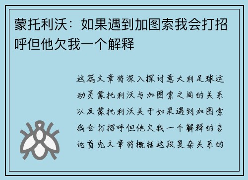 蒙托利沃:如果遇到加图索我会打招呼但他欠我一个解释 蒙托利沃:如果遇到加图索我会打招呼但他欠我一个解释